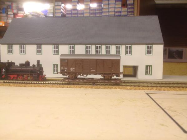 IMG 4536